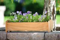 Teak Window Box - 19x4x4