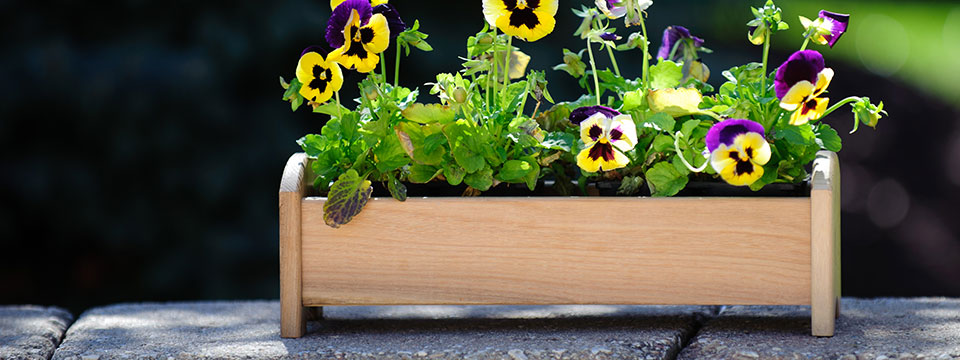 Planter Boxes