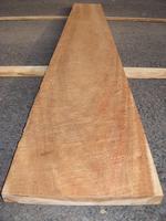 Koa (U.S. - Hawaii)