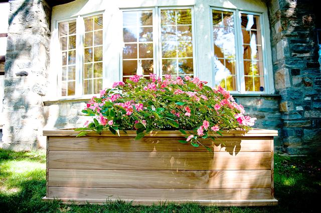 Teak Planter/Tree Box - 48x20x20 - DomEx Hardwoods