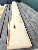 Holly 4/4 Lumber - ** 9" x 100" **  (Luthiers!)