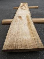 Paulownia 2 x 13 x 91