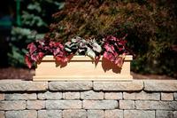 Teak Planter Box - 24x8x8