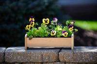 Teak Herb/Flower Box - 13x3x3