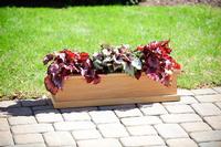 Teak Planter Box - 30x8x8