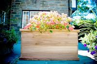 Teak Planter/Tree Box - 36x20x20