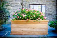 Planter Boxes